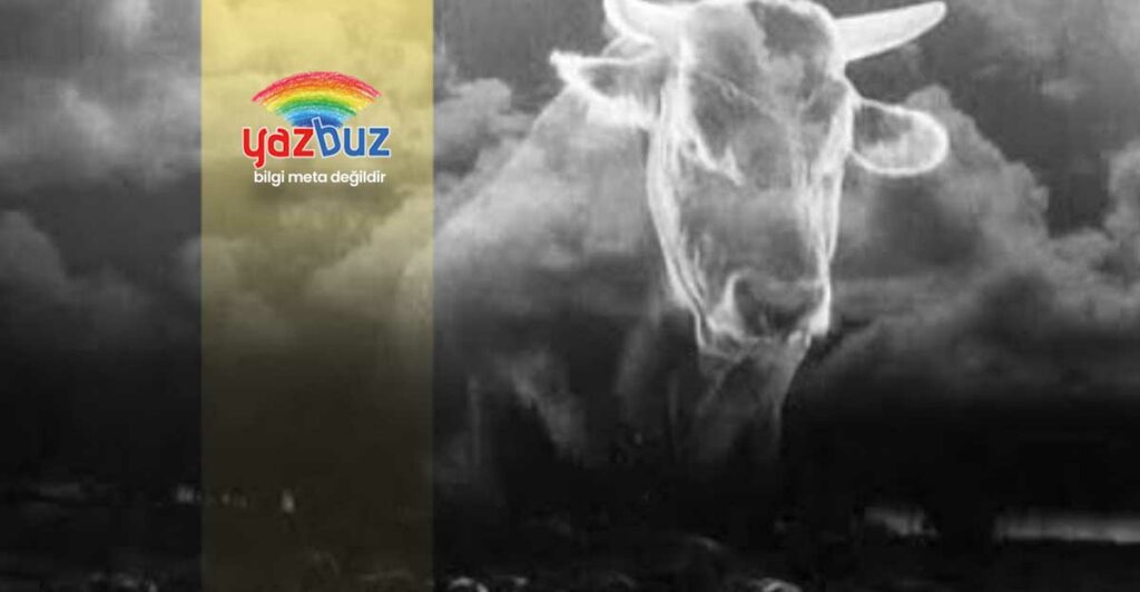 Eski ve Yeni Film Analizi