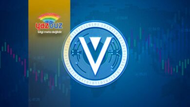 XVG Coin Yorum: XVG Coin Nedir? Geleceği Var mı?