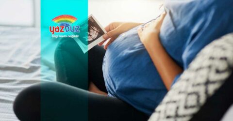 Yumurta Donasyonu Nedir? Kimler Yaptırabilir? 