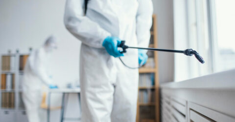 Ev ilaçlandıktan sonra ne zaman temizlenir